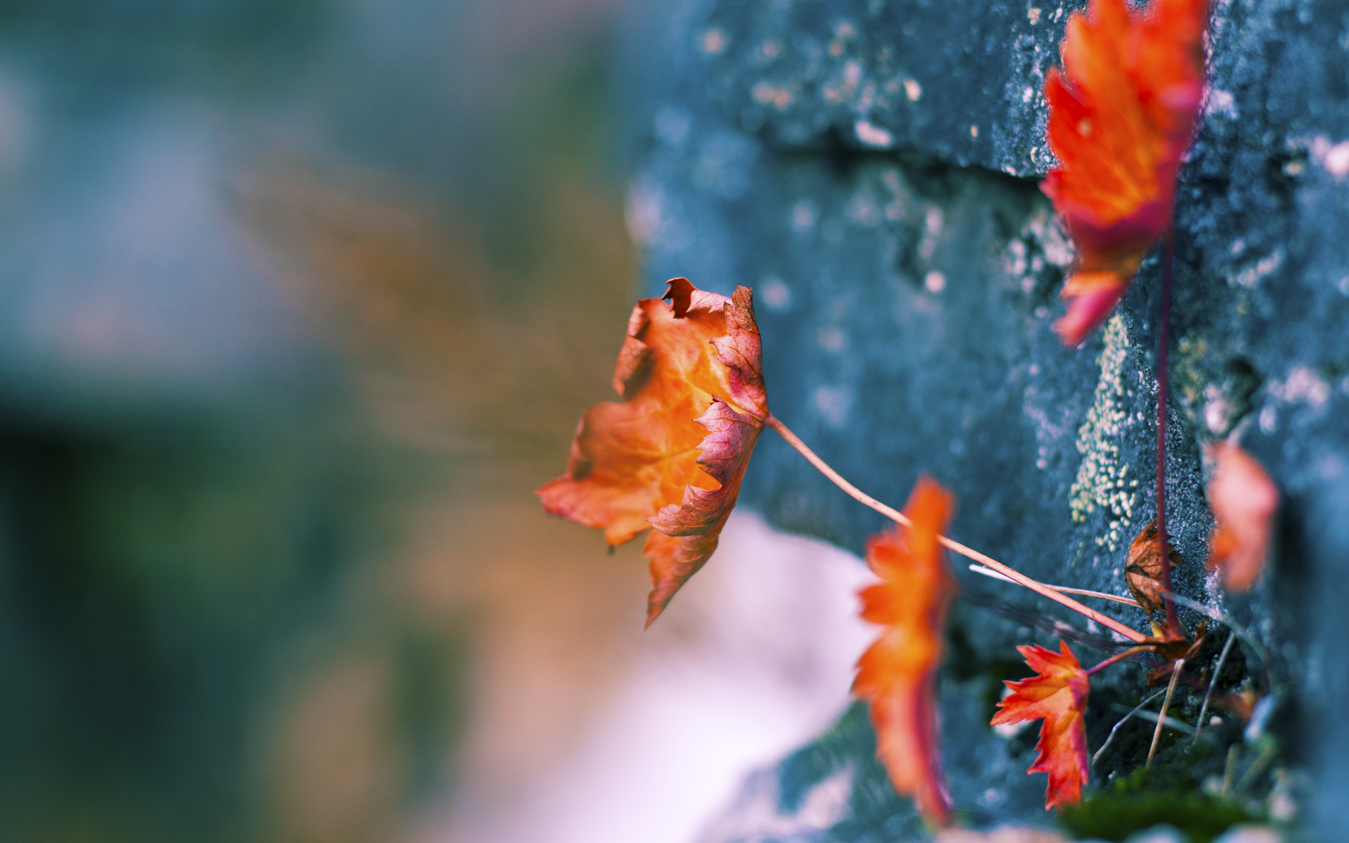 “基层青训持续发力，持续推动足球基础普及”，青年足球训练