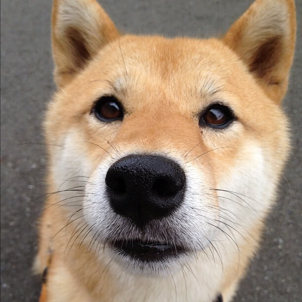 “逆境生存:车手在极端气候下的英雄演绎”