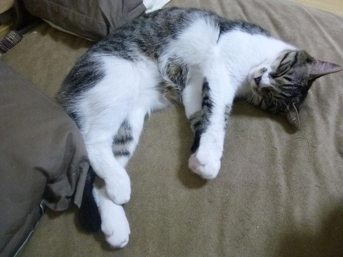 “逆境生存:车手在极端气候下的英雄演绎”