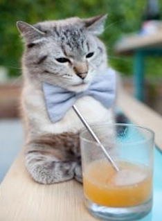 关键篮板:李磊抢得无数重要防守篮板!,李磊 球员