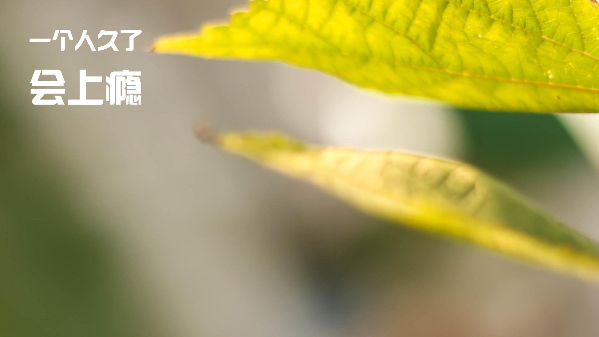 《勇士替补席贡献有限,球队深度成疑》,勇士的替补