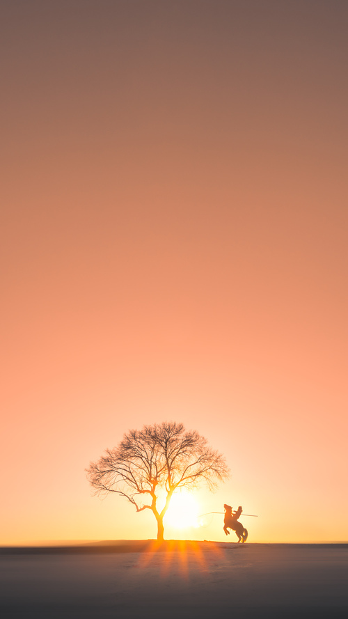 勇士压哨战胜太阳,系列赛焦点战中库里末节爆发,2021勇士库里