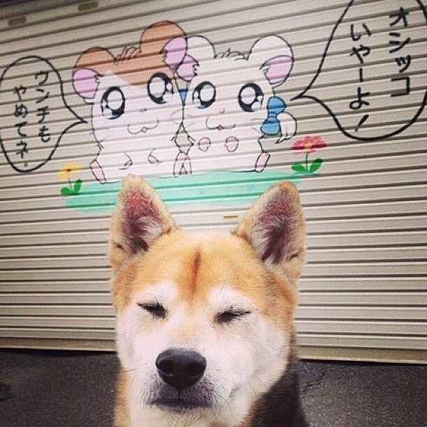 勇士球员组织自主训练 谋求突破改变,勇士体系球员