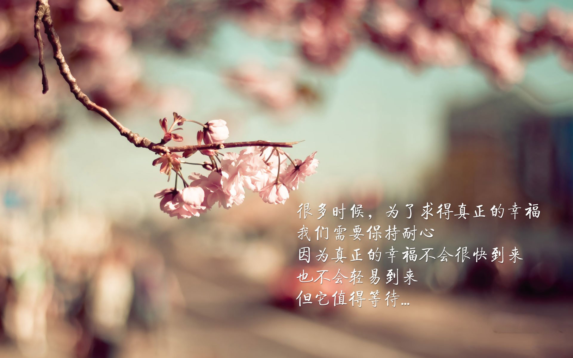 墨西哥队员滑雪鞋踢足球？新战术引争议，墨西哥滑板品牌