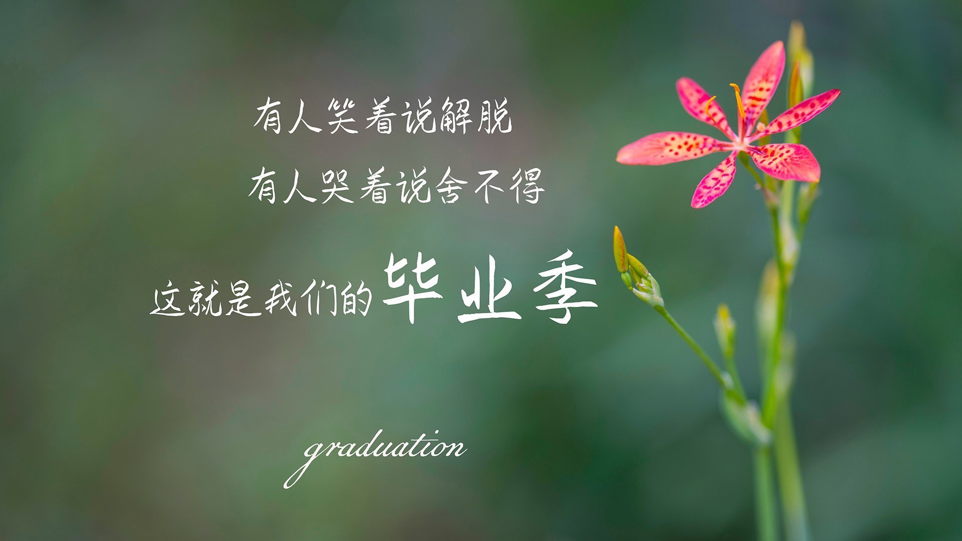 墨尔本联年轻力量不断涌现,墨尔本足球厉害吗